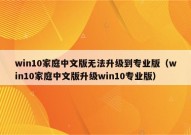 win10家庭中文版无法升级到专业版（win10家庭中文版升级win10专业版）