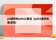 pd虚拟机win11激活（pd15虚拟机激活码）