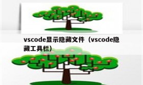 vscode显示隐藏文件（vscode隐藏工具栏）