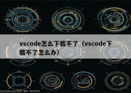 vscode怎么下载不了（vscode下载不了怎么办）