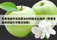 苹果电脑中文和英文的切换怎么操作（苹果电脑如何进行中英文切换）