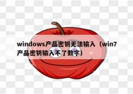 windows产品密钥无法输入（win7产品密钥输入不了数字）