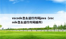 vscode怎么运行代码java（vscode怎么运行代码插件）